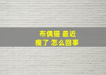 布偶猫 最近瘦了 怎么回事